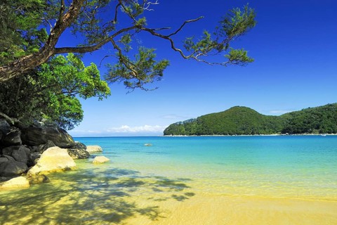 Bark Bay, Abel Tasman National Park, Tasman Sea, Nelson Region, Ueedinsel New Zealand