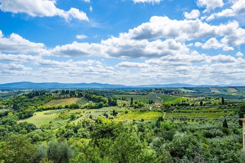 View from San Gimignano into the countryside with olive trees, vineyards, fields, and bushes,