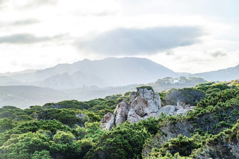 Morning atmosphere with clouds over hills and vegetation in the backcountry at Marinedda Coast,