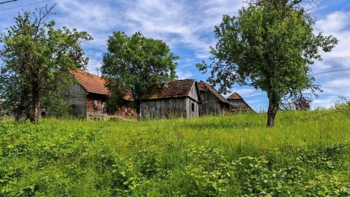 Green landscape with several old, traditional, rustic wooden houses and trees under blue sky,