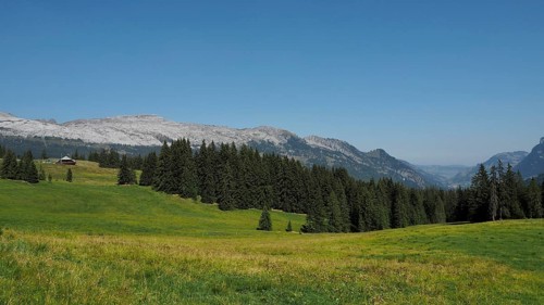 Wide mountain meadow surrounded by pine forests, with a view of imposing Karst mountains, UNESCO