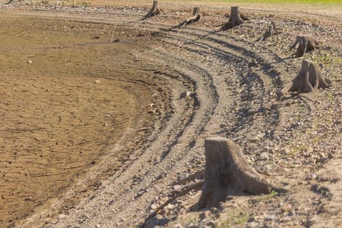 Dried shore of the Lehnmühle dam, Dippoldiswalde, Saxony, Germany