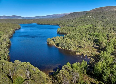 Aerial drone photo Mountain and Forest landscape at Loch Eilein in the Cairn Gorm National Park,