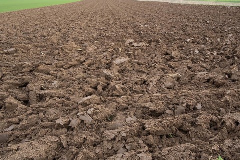Freshly ploughed arable soil with furrows, Franconia, Germany