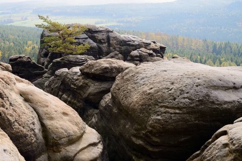 Felsen am Pfaffenstein, Saxon Switzerland, Elbe Sandstone Mountains, Saxony, Germany