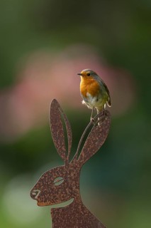 European robin (Erithacus rubecula) adult garden bird on a metal hare animal sculpture, England,