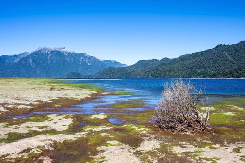 Shores of Lake Chapo, Los Lagos, Patagonia Verde, Chile