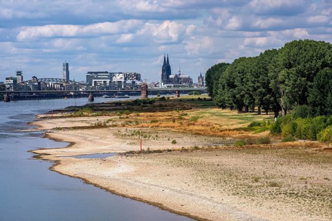 Low water in the Rhine near Cologne, view from the right bank of the Rhine over the Boller Wiesen,