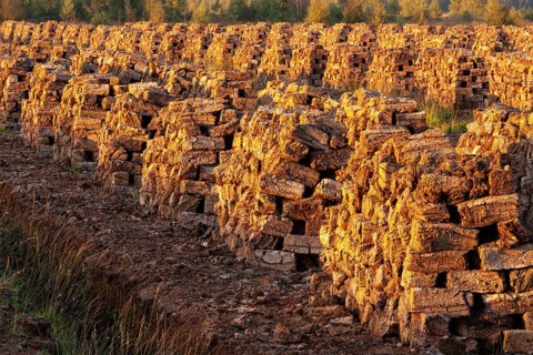 Torf im Moor, Goldenstedt, Lower Saxony, Germany