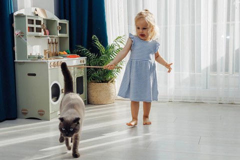 Little toddler girl in blue dress plays with a cat in a sunny, cozy living room filled with toys