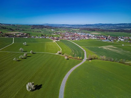 Blooming fruit trees behind the village, Auw, Freiamt, Canton Aargau, Switzerland
