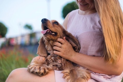 A woman smiles and pets her dog Cocker Spaniel while sitting on the grass