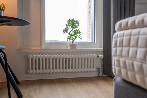 Cosy modern room with bonsai by the window and minimalistic furnishings, Boarding House des