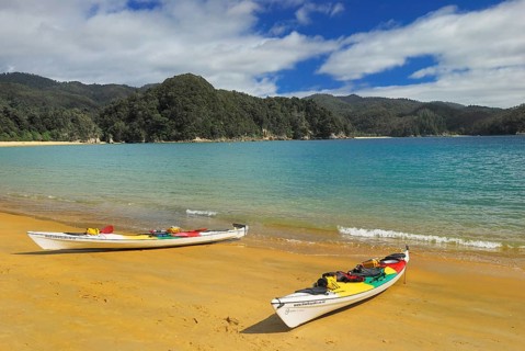 Sandy beach beach, Abel Tasman National Park, Tasman Sea, Nelson Region, South Island New Zealand,