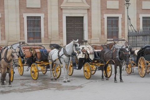 Historic horse-drawn carriages in front of an old building in an old town, Seville, Andalucia,