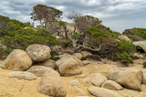 Rock formation on the coast near Tizzano, Sartene, Corsica, France