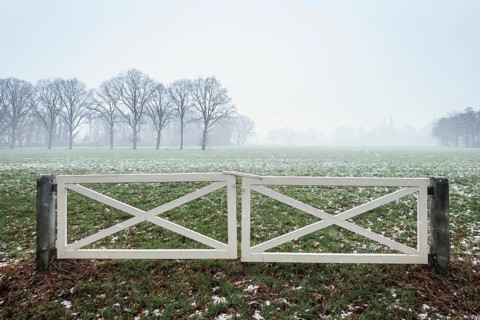 Horse paddock in winter fog, Almelo, Netherlands