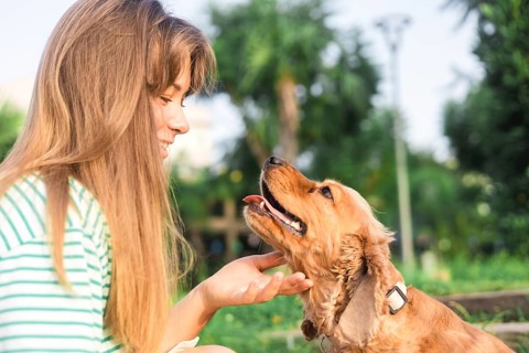 A girl interacting and smiling at a cheerful dog in a sunny park