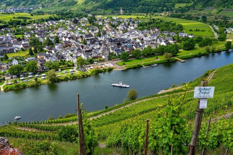 The wine town of Pünderich, in the district of Cochem-Zell, on the Moselle, view from the vineyards