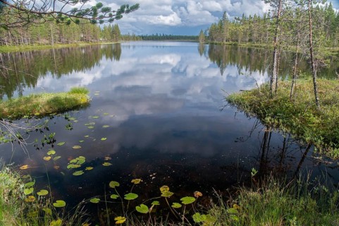 Finland, Bog, Countries, Lake, Landscape, Countries, Marsh, Moor, Travel, Lake, Travels