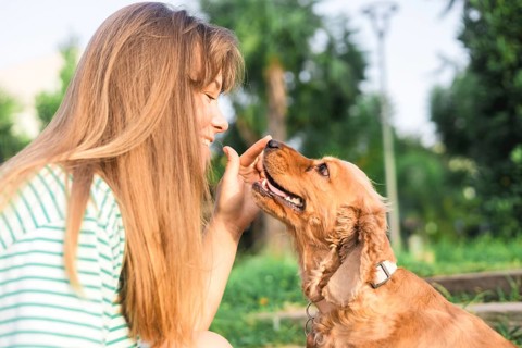 A girl gently touching a happy dog, highlighting a strong connection in a park setting