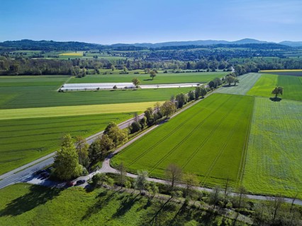 Meadows and fields, on the main road Aristau to Ottenbach, Reusstal, Freiamt, Canton Aargau,
