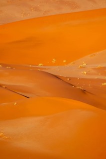 Red and yellow sand dunes of the Namib, Namib Desert, Namib-Naukluft National Park, Namibia