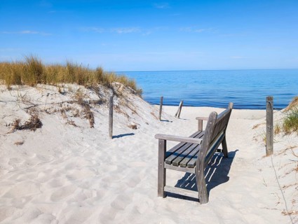 Bench on the beach between the dunes Baltic Sea Germany