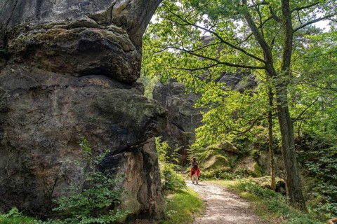 Mühlsteinbrüche hiking area near Jonsdorf in the Zittau Mountains, Upper Lusatia, Saxony, Germany