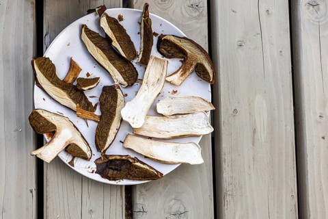 Dried mushrooms arranged on a white plate. The mushrooms are various shades of brown and white,