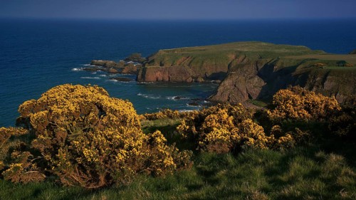 Europe, Scotland, Great Britain, England, landscape, Dunottor Castle near Stonehaven,