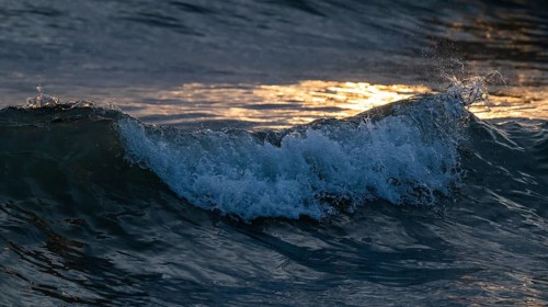 Splashing seawater, breaking wave in evening light, Houvig Beach, North Sea, Denmark
