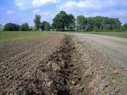 PICT1429.JPG