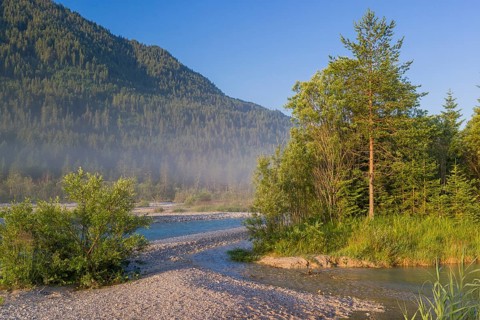 Isar valley nature conservancy area. The wild Isar river flows through its gravel bed past