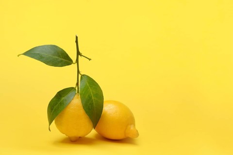 Lemons with leaves against yellow background