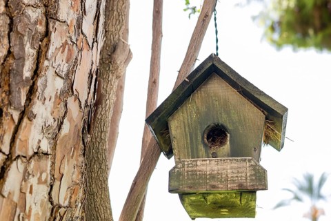 A wooden birdhouse hanging from a tree branch. The birdhouse is green with a slanted roof. The