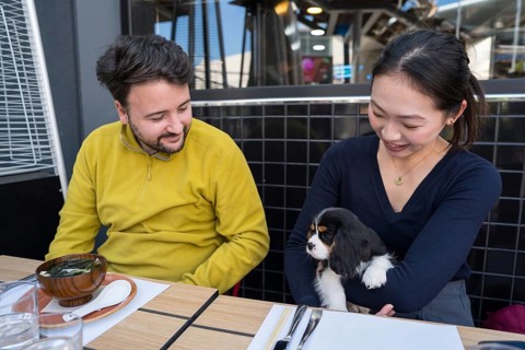 Multiethnic group of friends enjoying Asian food at an outdoor restaurant table, with a cute dog