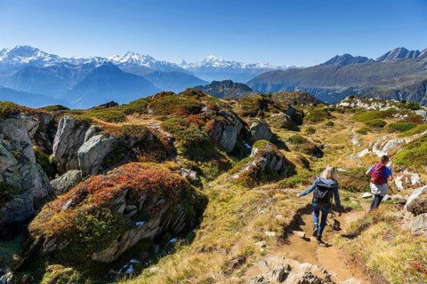 Hiking trail adventure trail, Riederalp with view of Matterhorn, hiking, mountain hiking, tourism,