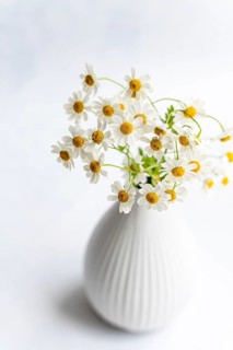 A delicate arrangement of summer daisies elegantly displayed in a textured white vase set against a