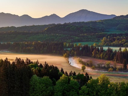 Aerial view, trees, forest, meadow, light green leaves, morning light, fog, mountains, sunny,