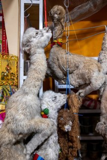 Dried llama fetuses, The Witches Market, La Paz, Bolivia