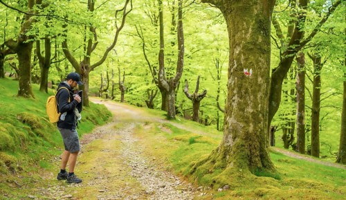 A young father walking with the newborn child in the backpack on a path in the woods heading to the