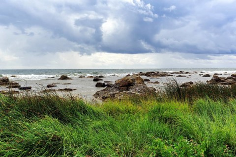Characteristic coastal landscape, wild natural beach, boulders and grasses in summer, dramatic