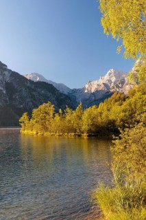 The tree-covered floating island in Lake Almsee bathed in the early morning light. Austria