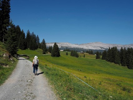 A person hikes a trail along a green meadow landscape with mountain views of Karst Mountains,