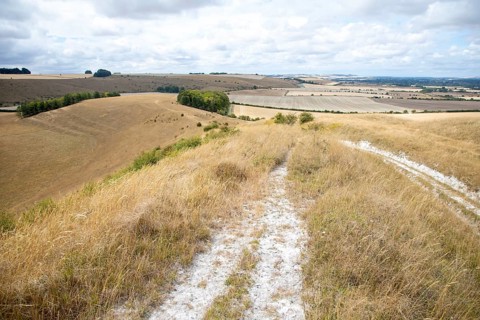 View west of chalk scenery along chalk scarp slope, Milton Hill, Milton Lilbourne, Wiltshire,