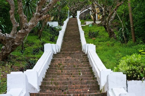 Frangipani trees (Plumeria rubra), the national flower of Laos, by the stone steps leading up to