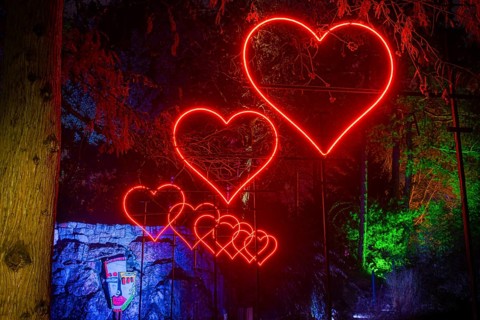 From 9 December 2023 to 14 January 2024, the Palmengarten in Frankfurt am Main will host the Winter
