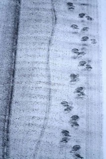 Slipperiness due to ice and snow, symbolic image, winter, Germany