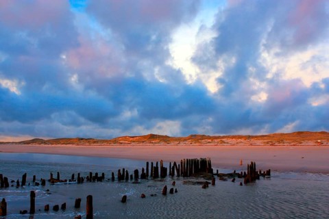 Grooches, in the mudflats, evening atmosphere, Sylt Island, Schleswig-Holstein, Germany,